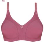 سوتین زنانه پانیذ مدل بدون فنر کد 66368 رنگ کالباسی