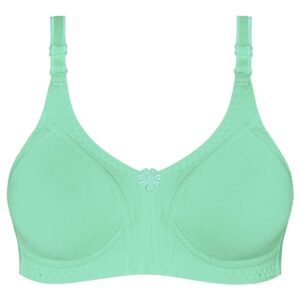 سوتین زنانه پانیذ مدل بدون فنر کد 66368 رنگ سبز روشن