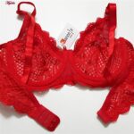 ست شورت و سوتین زنانه کارنا رز مدل گیپوری فنردار کد 4672-3001 رنگ قرمز