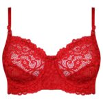 سوتین زنانه کارنا رز مدل گیپوری فنردار کد 4683-319 رنگ قرمز