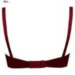 سوتین زنانه کارنا رز مدل فنردار کد 4677-413 رنگ زرشکی