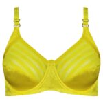 سوتین زنانه کارنا رز مدل فنردار کد 4677-413 رنگ زرد