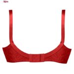 سوتین زنانه پانیذ کد 66324-13