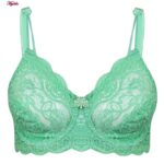 سوتین زنانه پانیذ مدل فنردار گیپوری کد 66367-new رنگ سبز پسته ای