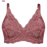 سوتین زنانه پانیذ مدل بدون فنر کد 66327 رنگ کالباسی