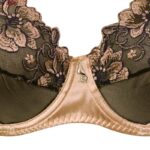 ست شورت و سوتین زنانه پانیذ مدل 9024-CR