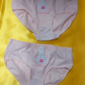 شورت اسلیپ زنانه 2 عددی کد R-340