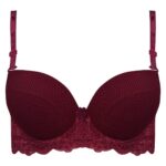 سوتین زنانه پانیذ مدل فنردار پوش آپ کد 4851 رنگ زرشکی