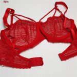 ست شورت و سوتین زنانه کارنا رز مدل فنردار هارنس کد 4873-2034 رنگ قرمز