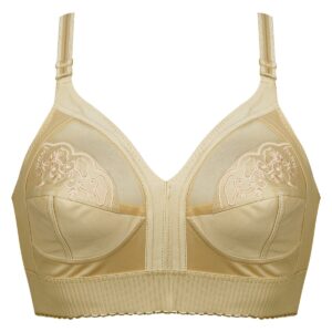 سوتین زنانه پانیذ کد 3166-32