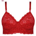 سوتین زنانه کارنا رز مدل فنردار کش پهن گیپوری کد 4934-332 رنگ قرمز