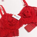 سوتین زنانه کارنا رز مدل فنردار کش پهن گیپوری کد 4934-332 رنگ قرمز