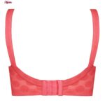 سوتین زنانه پانیذ مدل بدون فنر کد 66353 رنگ گلبهی