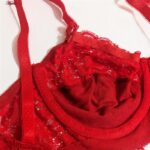 سوتین زنانه کارنا رز مدل فنردار کش پهن گیپوری کد 4934-332 رنگ قرمز