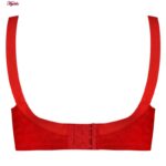 سوتین زنانه پانیذ مدل بدون فنر کد 66353 رنگ قرمز