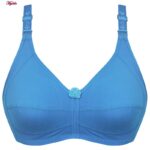 سوتین زنانه پانیذ کد 3171-20