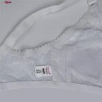 سوتین زنانه پانیذ کد 3485-W