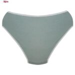 شورت زنانه برهان تن پوش مدل پنبه ای کد 1009 رنگ خاکستری روشن