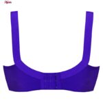 سوتین زنانه پانیذ کد 66351-5