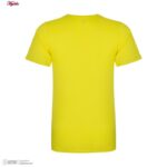 زیرپوش آستین دار مردانه برهان تن پوش مدل 5-02 بسته 2 عددی