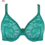 ست شورت و سوتین زنانه پانیذ مدل 9001-GB