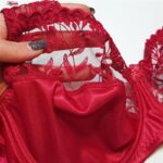 سوتین زنانه شاندرمن مدل Maranta-w کد 5080-2280-610 رنگ زرشکی