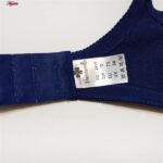 سوتین زنانه شاندرمن مدل بدون فنر viola کد 5080-2410 رنگ آبی