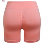 ست نیم تنه و شلوارک ورزشی زنانه ماییلدا مدل سیملس پشت چین دار پددار کد 5172 رنگ گلبهی