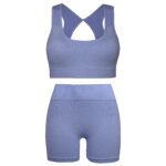 ست نیم تنه و شلوارک ورزشی زنانه ماییلدا مدل سیملس پشت چین دار پددار کد 5172 رنگ آبی