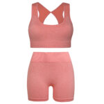 ست نیم تنه و شلوارک ورزشی زنانه ماییلدا مدل سیملس پشت چین دار پددار کد 5172 رنگ گلبهی