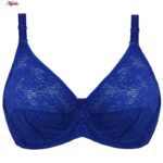 سوتین زنانه پانیذ کد 66350-6