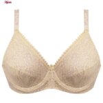 سوتین زنانه پانیذ مدل 66300 رنگ کرم