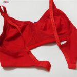 سوتین زنانه پانیذ مدل بدون فنر کد 66368 بسته سه عددی