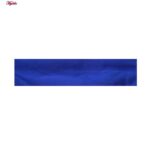 تاپ ورزشی زنانه مدل 5213-323P رنگ آبی به همراه هدبند