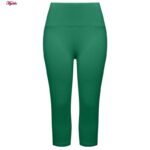 ست تی شرت آستین بلند و شلوارک ورزشی زنانه مدل ریلی کد 5226-696p رنگ سبز