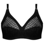 سوتین بدون فنر زنانه پانیذ کد 66500-NEW رنگ مشکی