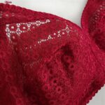 سوتین بدون فنر زنانه پانیذ کد 66500-NEW رنگ زرشکی