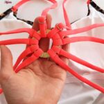 مایو زنانه فیتن فرخ زادی مدل پشت بندی پلنگی پددار کد 5289-217-2 رنگ قهوه ای