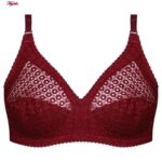 سوتین بدون فنر زنانه پانیذ کد 66500-NEW رنگ زرشکی