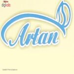 گن مردانه آرتان کد 2072