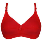 سوتین زنانه پانیذ کد 3171-3