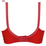 سوتین زنانه پانیذ کد 3171-3