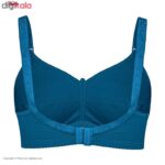 سوتین زنانه پانیذ مدل f-66318