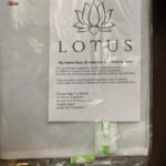 کیسه شستشوی لباسشویی لوتوس مدل هایزن بسته 3 عددی