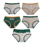 شورت زنانه مدل عروسکی تدی بسته 5 عددی