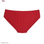 شورت اسلیپ مردانه برهان تن پوش مدل 1001-3 بسته دو عددی