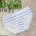 شورت زنانه ماییلدا مدل عروسکی خرگوش و توت فرنگی کد 5336-4 بسته 5 عددی