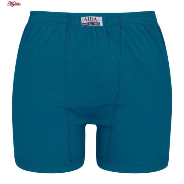 شورت پادار مردانه آیدا جید مدل 3047-B بسته 2 عددی