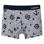 شورت نیم پا مردانه مدل 31-5385