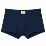 شورت پادار مردانه مدل 60-5385